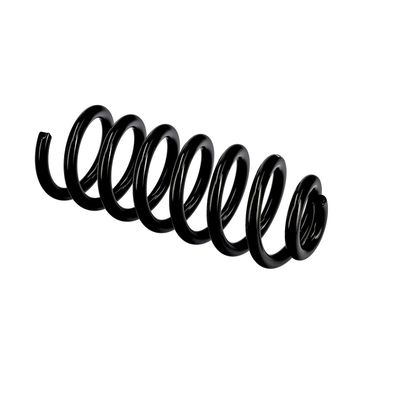 ARC SPIRAL EIBACH R10602 21
