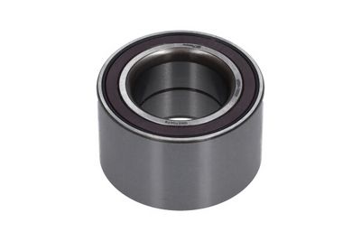 Kavo Parts Rato guolio komplektas