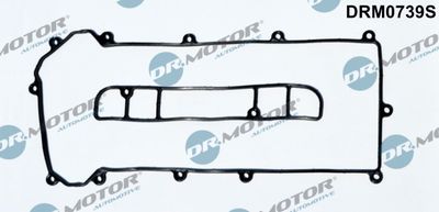 Gasket, cylinder head cover DRM0739S