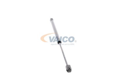 GASFEDER KOFFER-/LADERAUM VAICO V240202 24