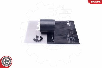 FURTUN EAR SUPRAALIMENTARE