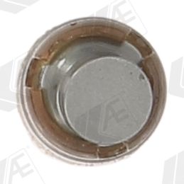 VENTILSTößEL AE FOL119 2