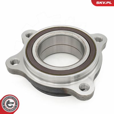 Set rulment roata ESEN SKV 29SKV698