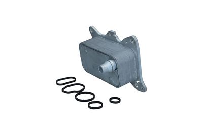 RADIATOR ULEI ULEI MOTOR KAMOKA 7730143 1