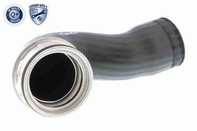 FURTUN EAR SUPRAALIMENTARE