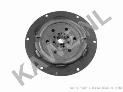 AMORTIZOR TORSIUNE AMBREIAJ