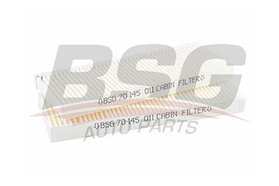 BSG BSG 70-145-011 Фільтр салону 
