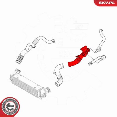 FURTUN EAR SUPRAALIMENTARE ESEN SKV 43SKV325 4