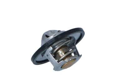 TERMOSTAT LICHID RACIRE NRF 725016 22