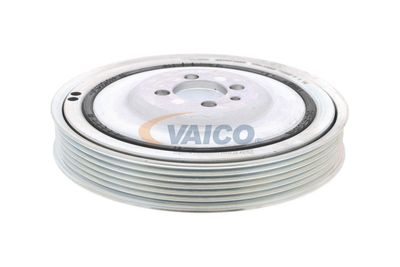 SET FULIE ARBORE COTIT VAICO V240865 5