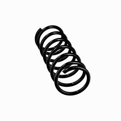 ARC SPIRAL EIBACH R10118 24