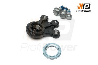 Šarnyras / girgždukas 2S0067 ProfiPower