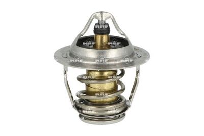TERMOSTAT LICHID RACIRE NRF 725193 1