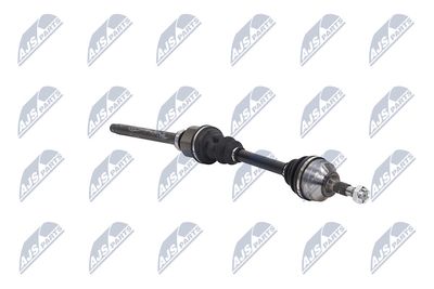 PLANETARA NTY NPWCT155 11