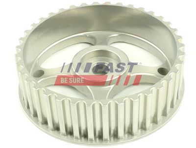 Ozubené kolo, vyrovnávací hřídel FAST FT45618