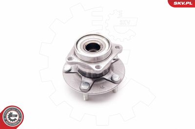 Wheel Bearing Kit 29SKV139