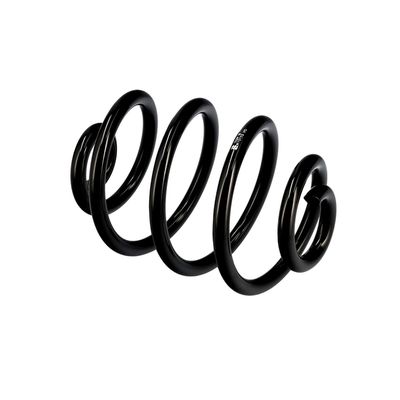 ARC SPIRAL EIBACH R10173 21