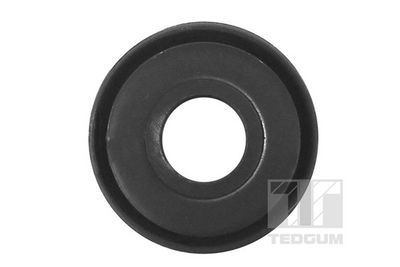 SUPORT TRAPEZ TEDGUM 00118098 1