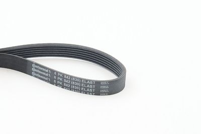 CONTINENTAL CTAM Keilrippenriemen
