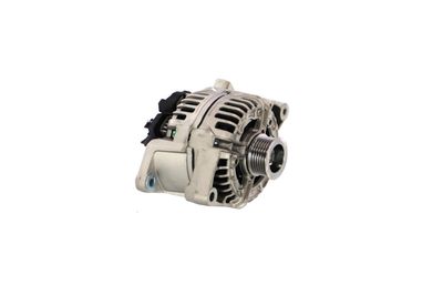 GENERATOR / ALTERNATOR REMANTE 011003000006R 61