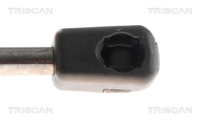 AMORTIZOR PORTBAGAJ TRISCAN 871040303 2