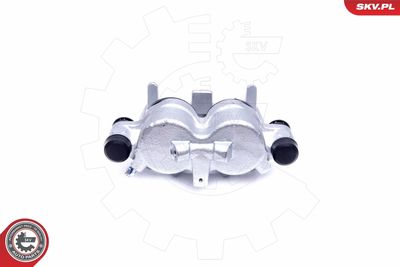 Brake Caliper 46SKV181