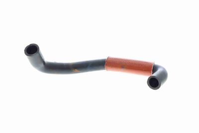 FURTUN ULEI VAICO V461644 2