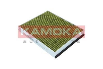 Filter, cabin air 6080071