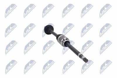 PLANETARA NTY NPWCT181 31