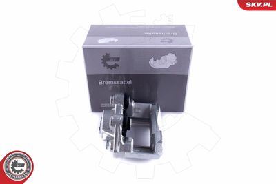 Brake Caliper 50SKV901