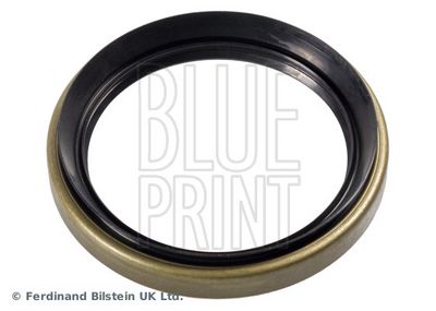 BLUE PRINT Veleno sandariklis, rato guolis