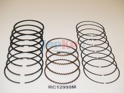 SEGMENT PISTON
