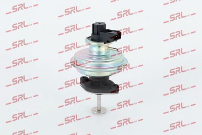 Egr valve