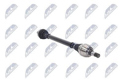 PLANETARA NTY NPWVW221 31