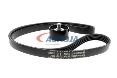 SET CUREA TRANSMISIE CU CANELURI ACKOJA A520515 11