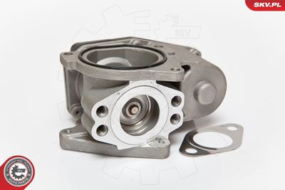 EGR Valve 14SKV085