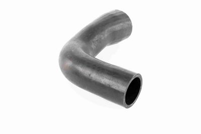 FURTUN EAR SUPRAALIMENTARE ACKOJA A389600 7