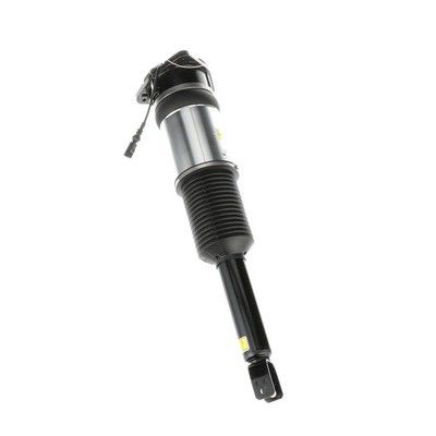 LUFTFEDERBEIN Arnott AS2966 69