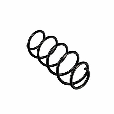ARC SPIRAL EIBACH R10079 11