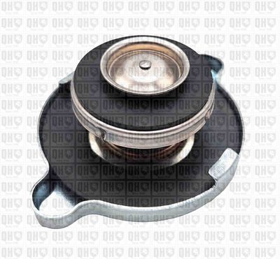 BUSON RADIATOR QUINTON HAZELL FC43A 1