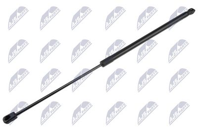 Dujinė spyruoklė, bagažinė