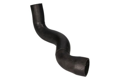 FURTUN EAR SUPRAALIMENTARE BIRTH 55647 9