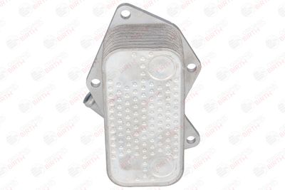 RADIATOR ULEI ULEI MOTOR BIRTH 80313 7