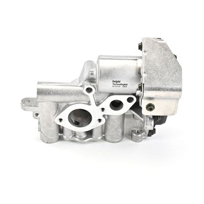 AGR-VENTIL DELPHI EG1073012B1 2