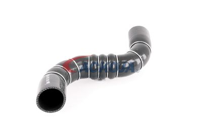 FURTUN EAR SUPRAALIMENTARE ACKOJA A389602 53