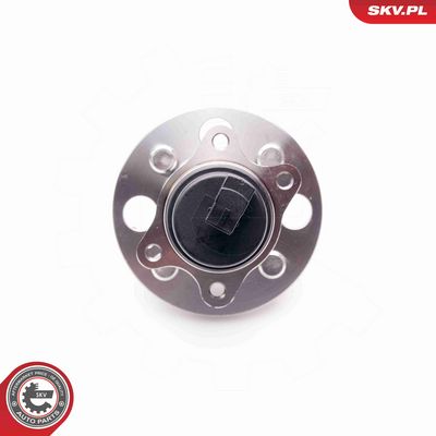 SET RULMENT ROATA ESEN SKV 29SKV120 2