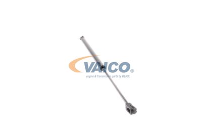 GASFEDER KOFFER-/LADERAUM VAICO V402021 21
