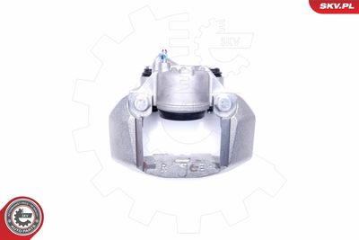 Brake Caliper 42SKV112