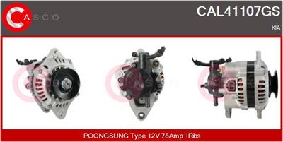 GENERATOR / ALTERNATOR