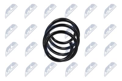 ARC SPIRAL NTY ASZWW060 16